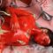 Lucrèce et Tarquin