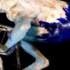 Oceanic Dance – part 1