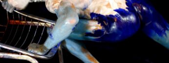 Oceanic Dance – part 1