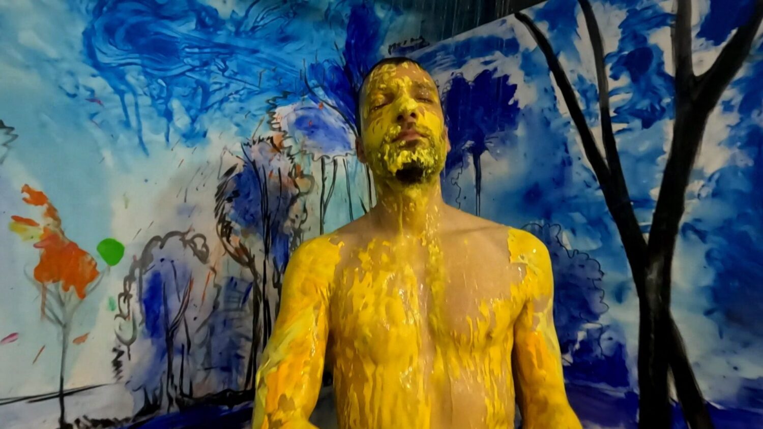 Video Image