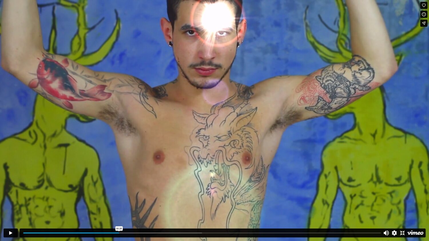Video Image